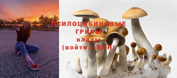 ГАЛЛЮЦИНОГЕННЫЕ ГРИБЫ Нягань