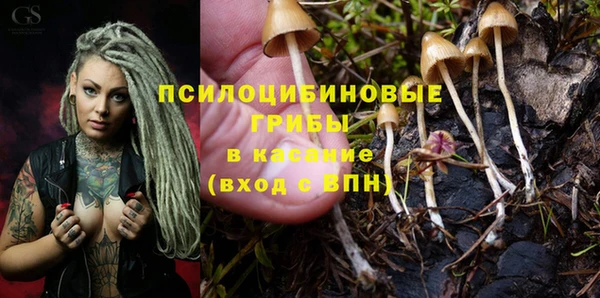 стаф Няндома