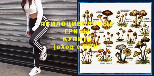 стаф Няндома