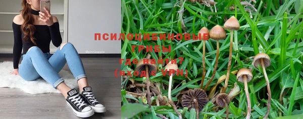 не бодяженный Нязепетровск