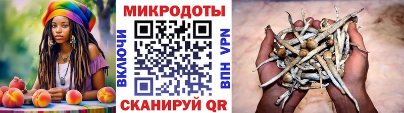 Псилоцибиновые грибы прущие грибы  наркота  даркнет клад  Ардатов 